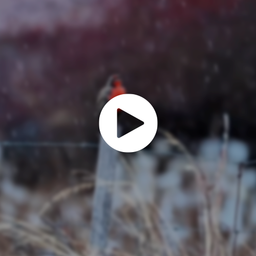 Mención Honrosa 2 Creadores