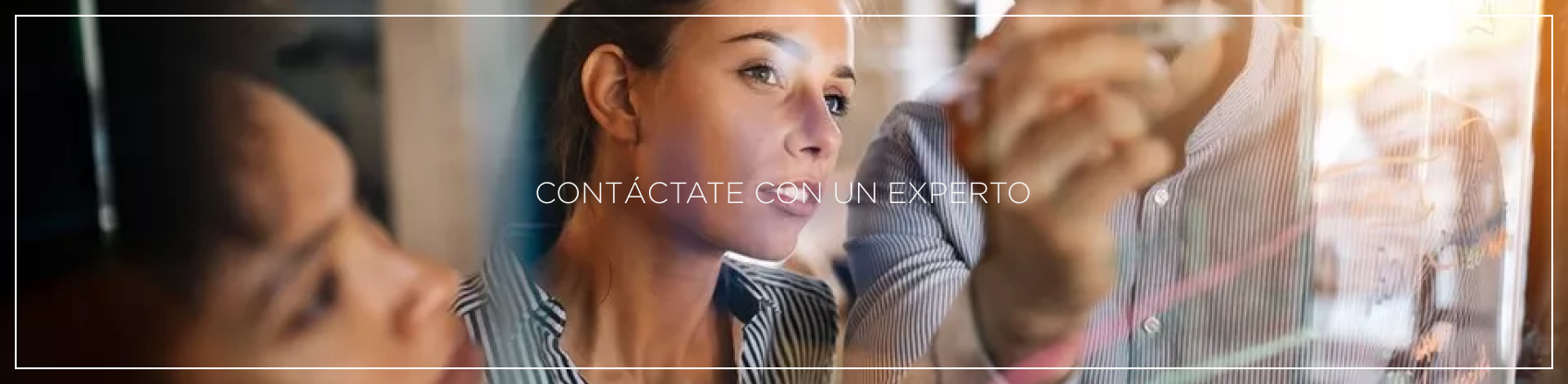 Contacto experto