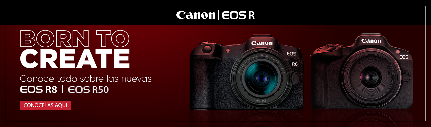 Nuevas R50 y R8 Canon Mirrorless Chile