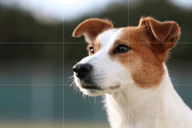 Blog Composicion Canon
