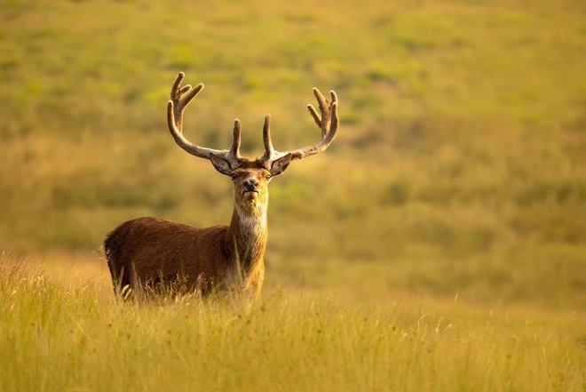 canon naturaleza lentes