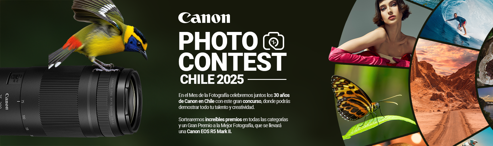 photocontest