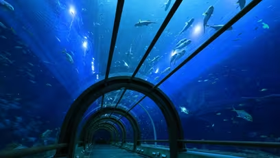 Saca todo el edificio, desde dentro o desde fuera.