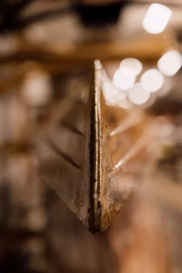 Da rienda suelta a tu creatividad con una abertura constante de f/2,8