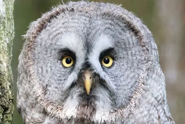 Capta sujetos con mayor claridad