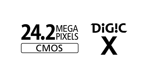 Un procesador DIGIC X se asegura de que la cámara responda al instante y reduce al mínimo el blackout o retardo del visor, para que no pierdas la conexión con el motivo en ningún momento