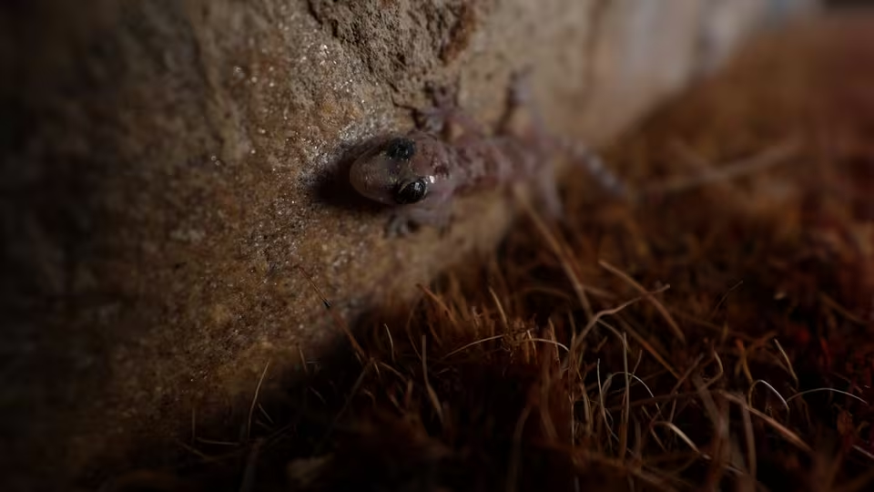 Explora, experimenta y disfruta de una creatividad ultraamplia