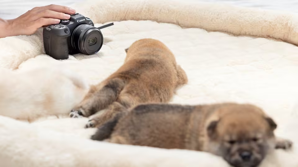 Más pequeño. Más sencillo. Más ligero.