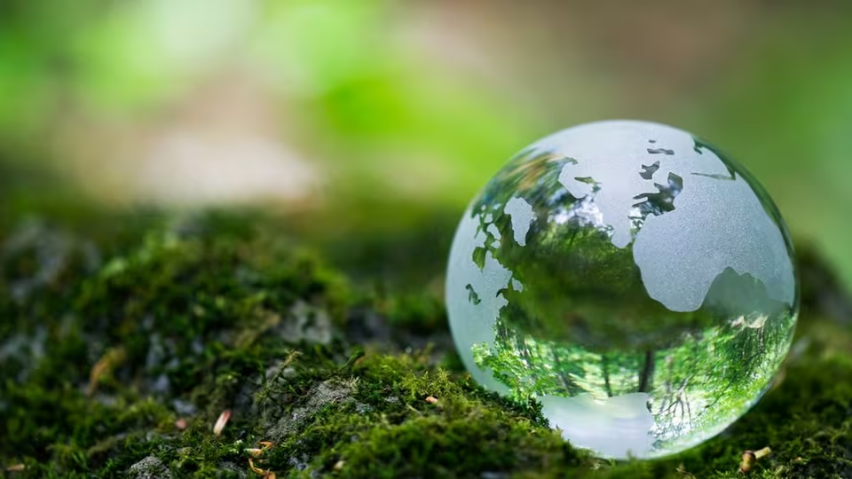 Pensando en el planeta