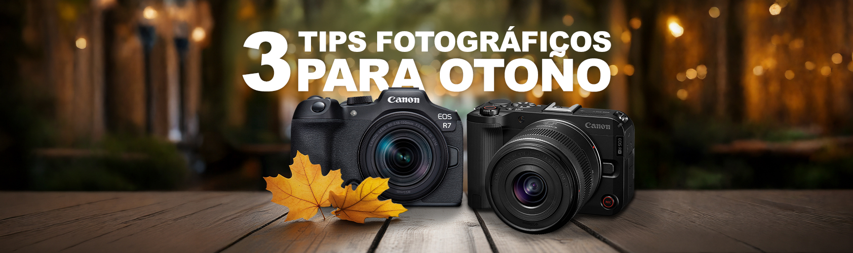 Tips Fotografía de Otoño