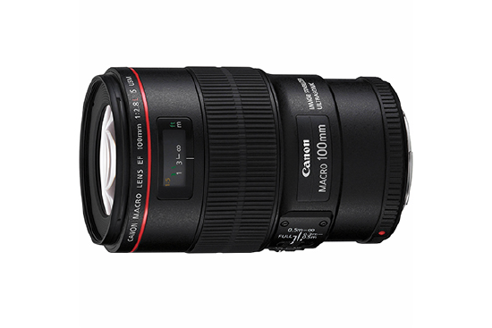 【美品】Canon EF 100mm f/2.8L Macro IS USM 1200?1720561247