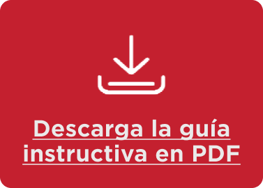 Descarga guía en PDF