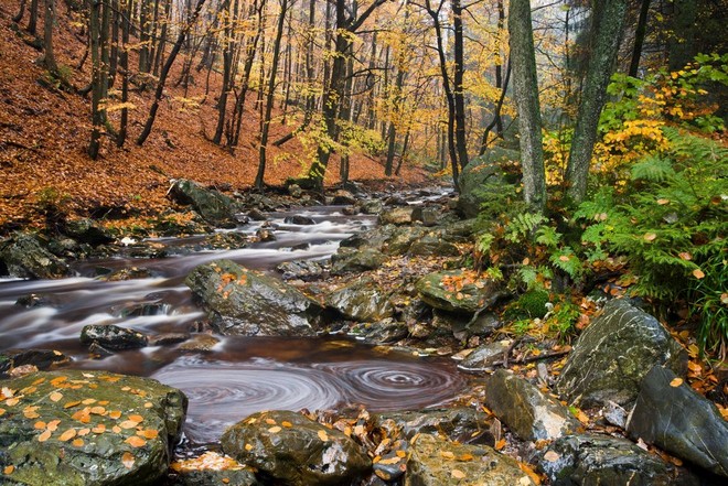 otoño canon tips