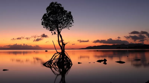 CONCEPTOS BÁSICOS DE FOTOGRAFÍA: Mejora la composición de tus fotos