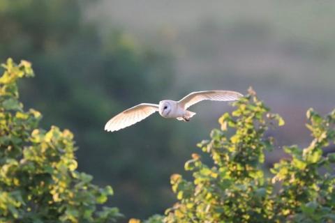 Fotografía Naturaleza Canon