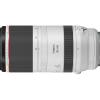 RF 100-500mm f/4.5-7.1L IS USM